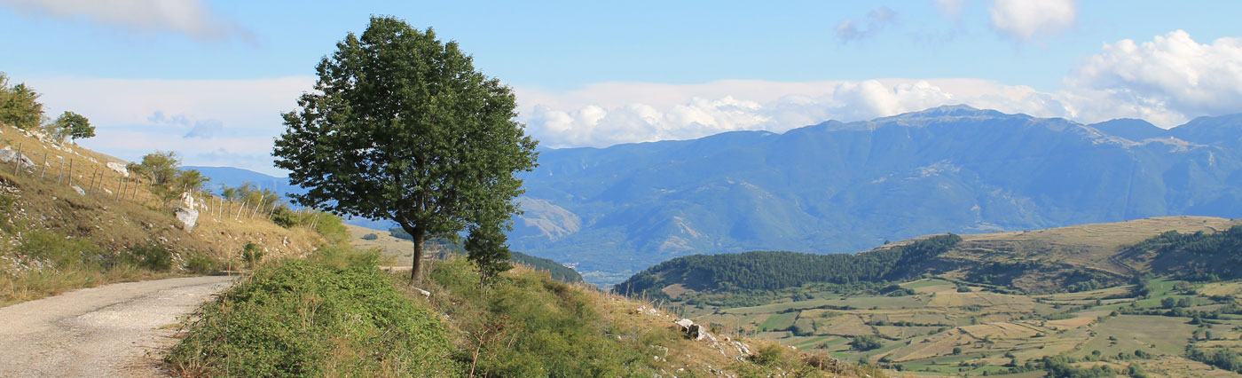 panorama_montagna